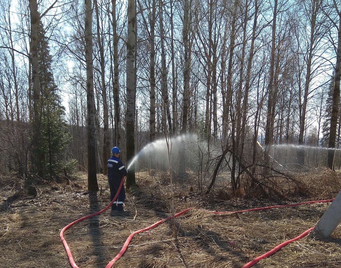 Тушение учебного пожара в лесном массиве вблизи территории площадок метаноугольных скважин