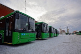 Зеленые вышли на линию: Екатеринбург обновил автобусный парк