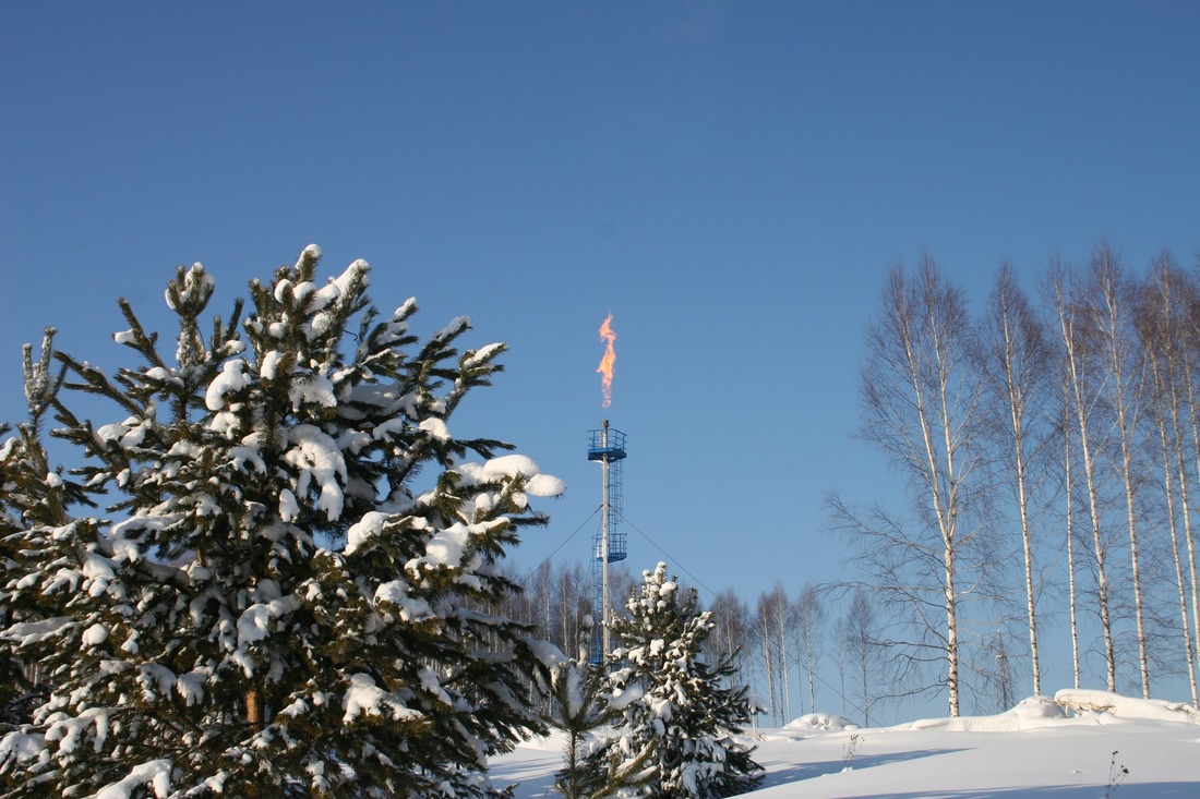 Сохраняя природу: Талдинский метаноугольный промысел ООО "Газпром добыча Кузнецк"