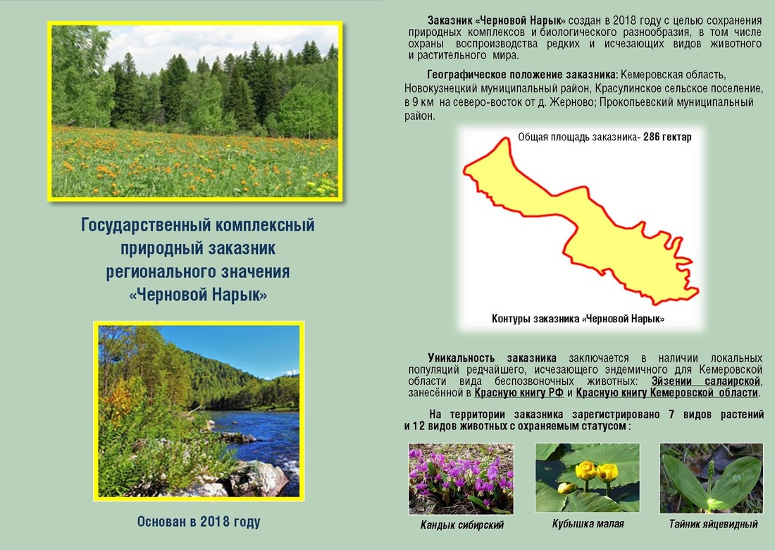 Карта тайги кемеровской области